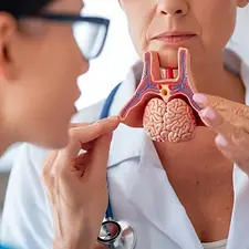 Endocrinology-what-it-is-and-what-it-is-for-1-1024x569.webp