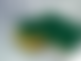 Arix Professional Cell 80 Plus