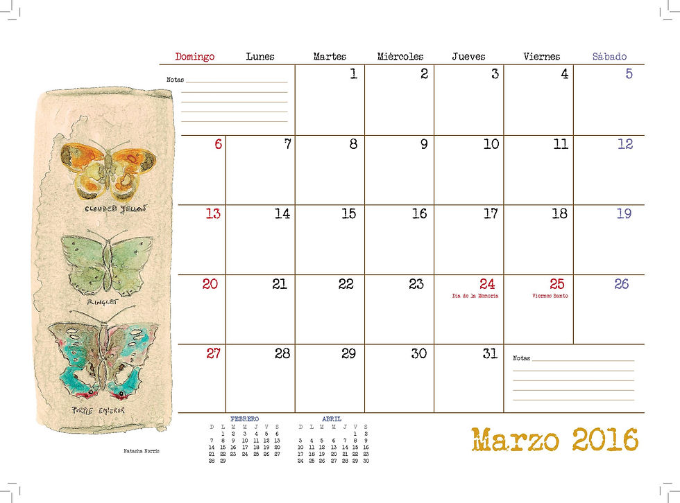 Marzo 2016