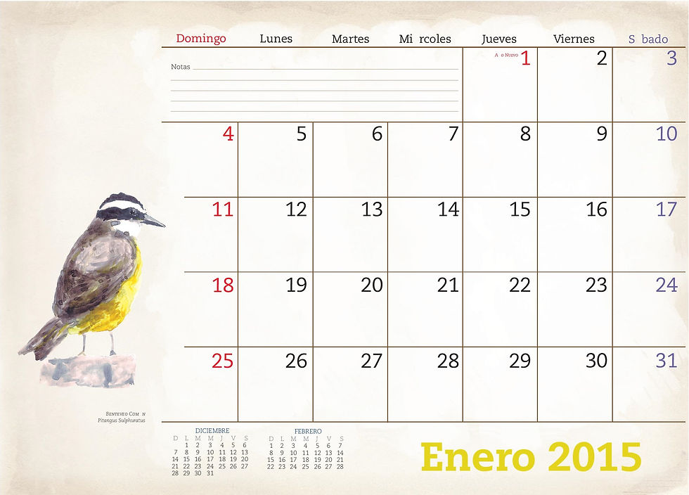 Enero 2015