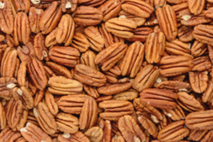 Natural Oconee Pecan Halves (16oz)