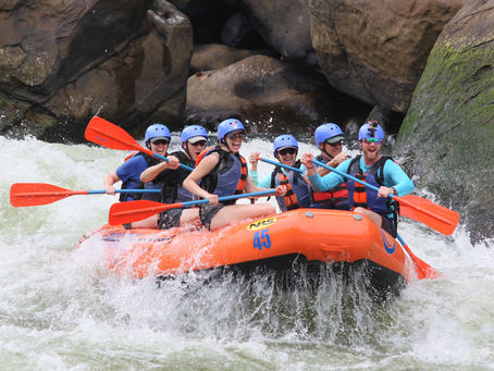 Individual & Team Coaching in Organisations