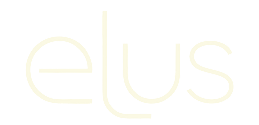 Oficina Criativa Elus Decorações Manual de Marca (1).png