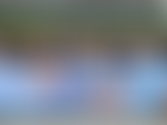 大灣區職業經理人協會會長葉海興出席外國駐港領團和商界參訪團