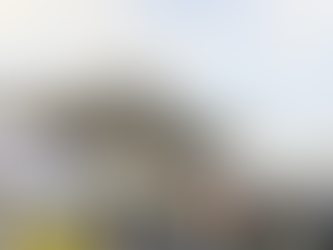 This Week at The Local - 5/23