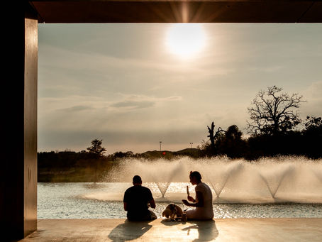 This Week at The Local - November 8, 2022