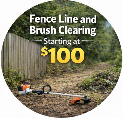 Fence line Brush Clearing