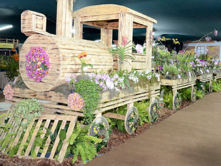 Trem cenográfico cobreto de plantas na área de exposição da Festa das OrquÃdeas de 2024
