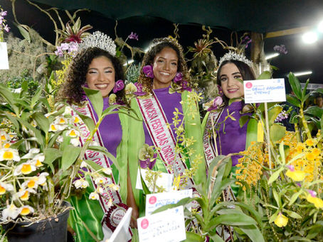 Festa das OrquÃdeas 2023