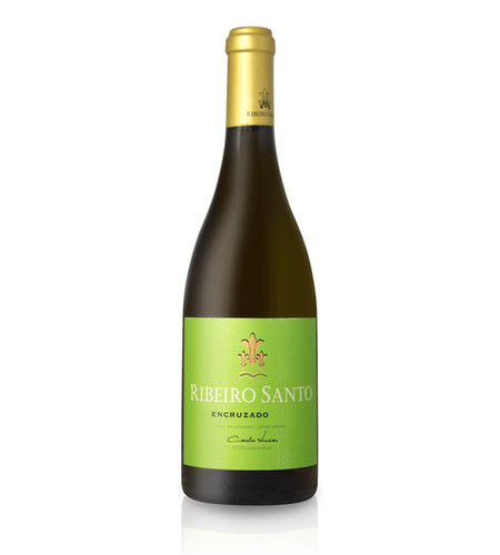 Ribeiro Santo Encruzado Magnum Carlos Lucas