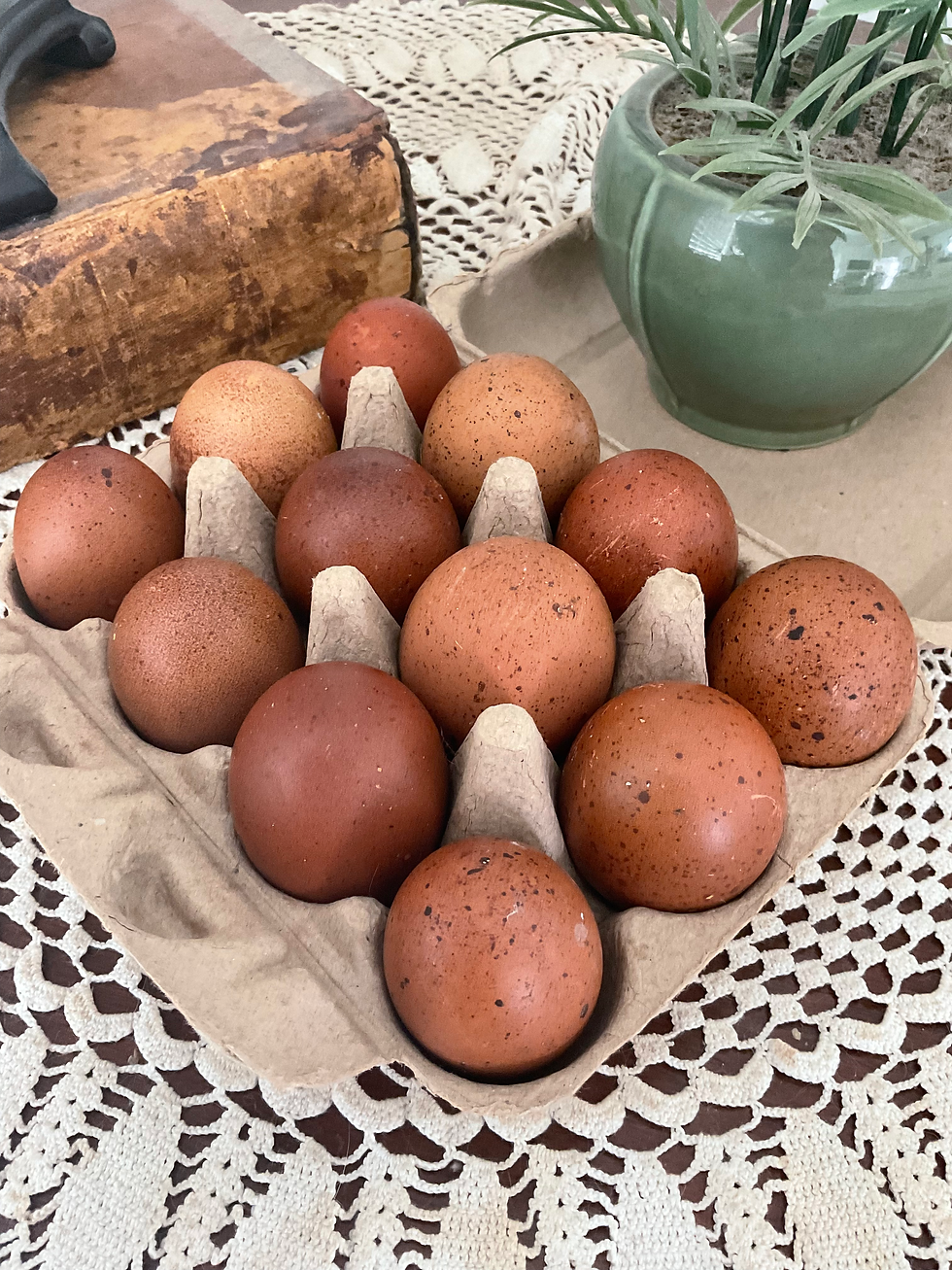Thumbnail: Speckled Sex Linked Olive Eggers