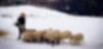 3 Bags Wool_sm_edited.jpg