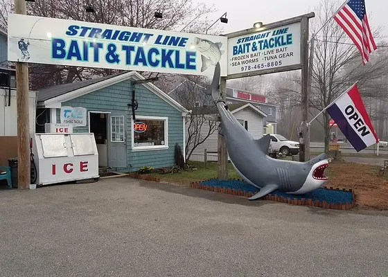 Straight line bait and tackle Clearance