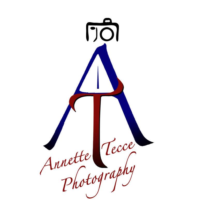 Annette Tecce Photography