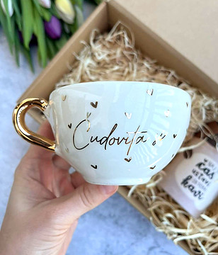 639761314_1611272223448693_6413428657392