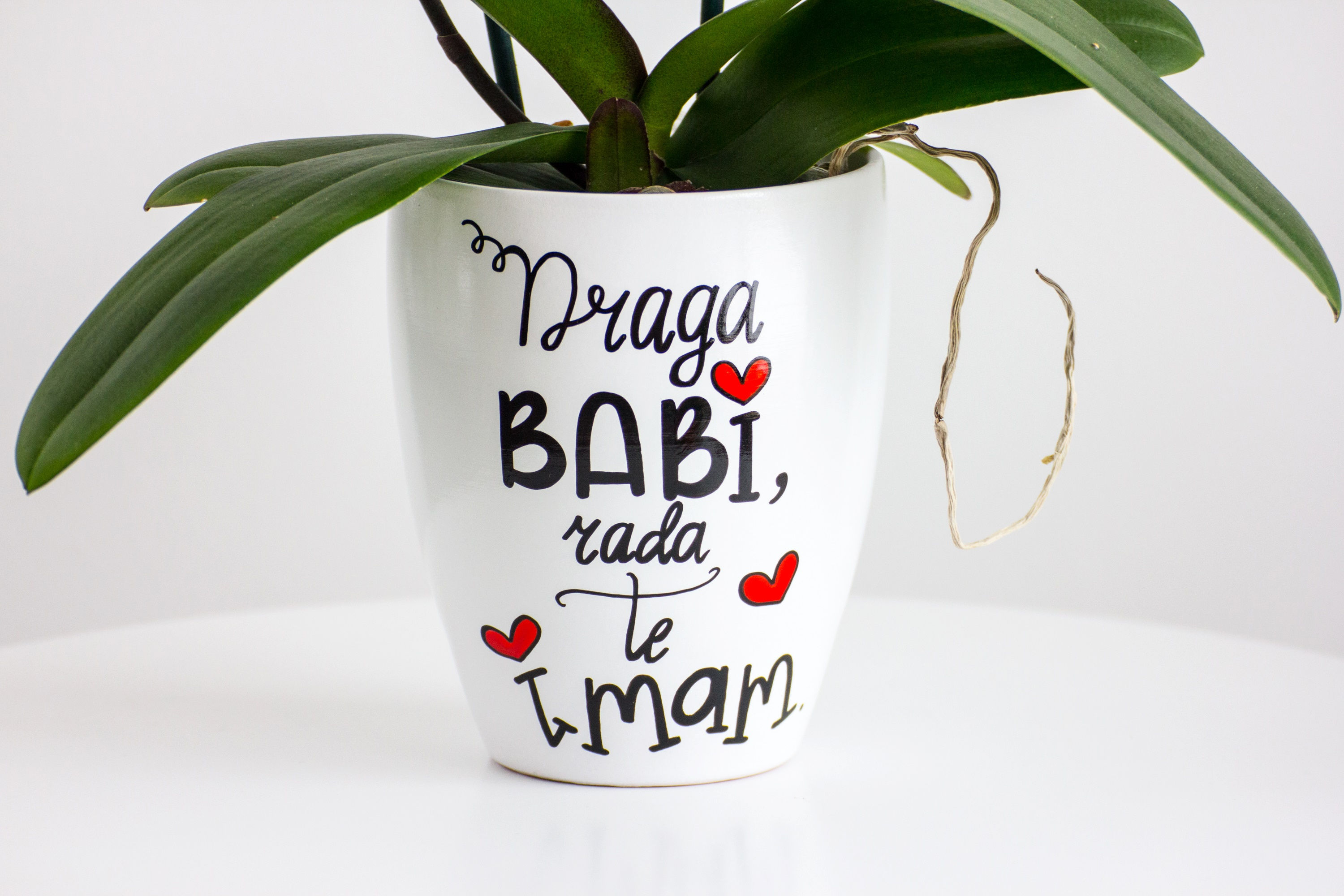 DRAGA BABI, RADA TE IMAM