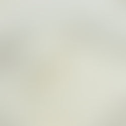 Vegan Mayo Base Recipe