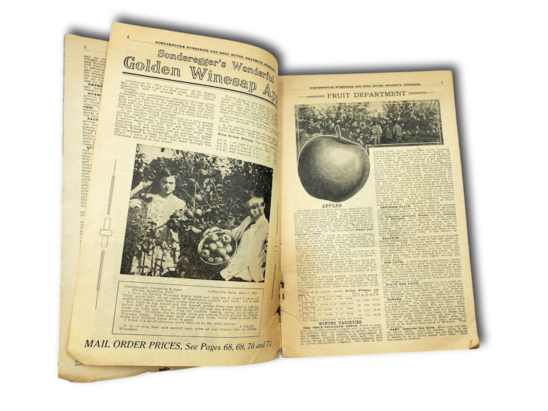 Thumbnail: 1925 Sonderegger Garden Book Spring Seed Catalog Nebraska Complete