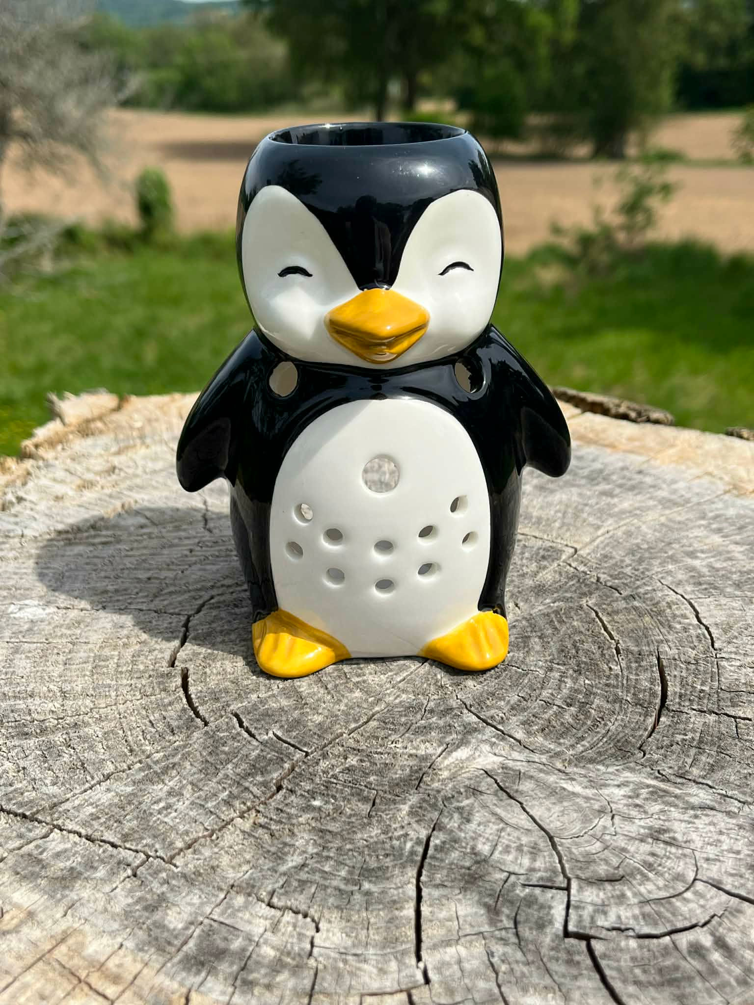 Brûleur de parfum pingouin