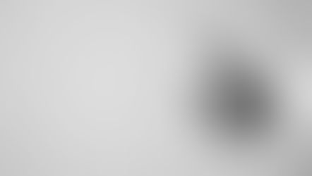 Feedback at the Speed of "Like"
