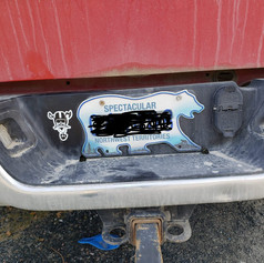 image5.jpeg