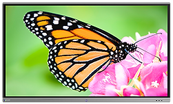 ProColor_3_75in_D (resized).png