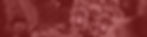 banner 03-2.jpg
