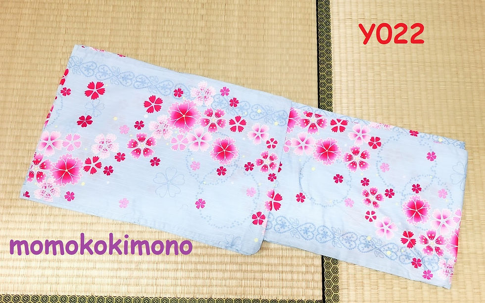 Y022