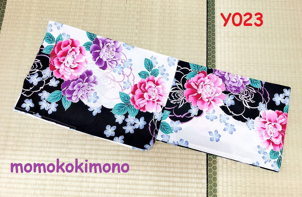 Y023
