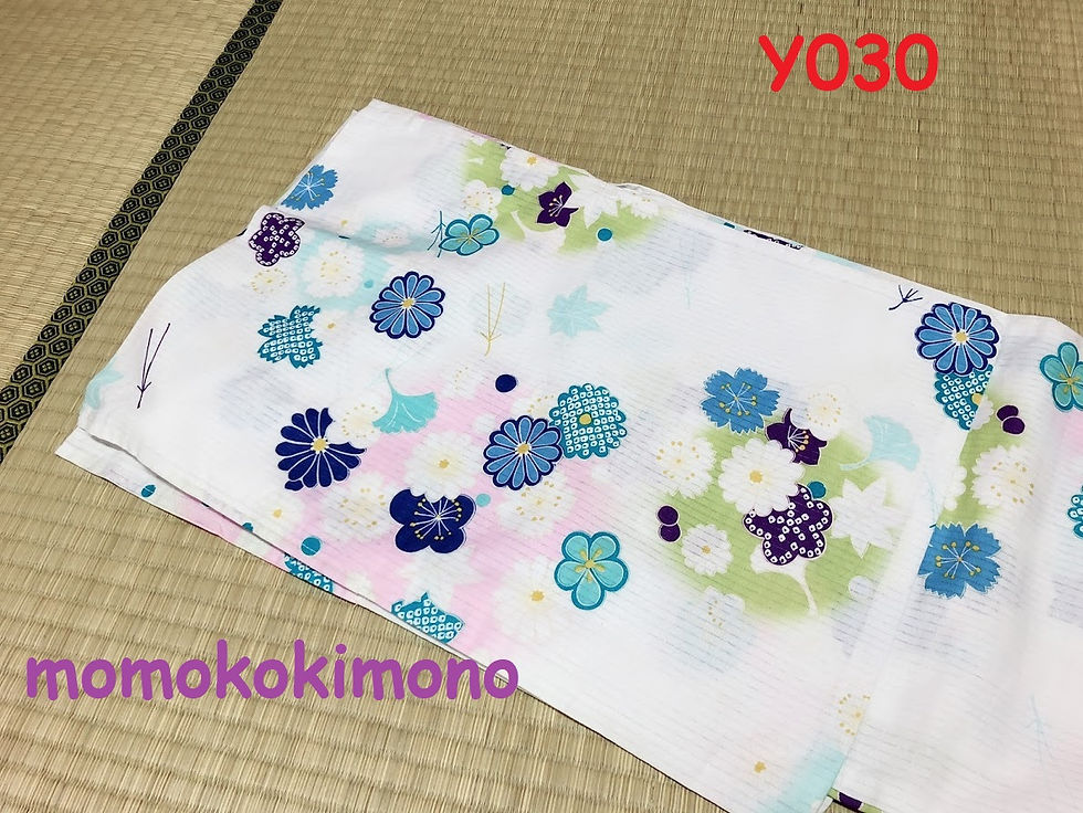 Y030