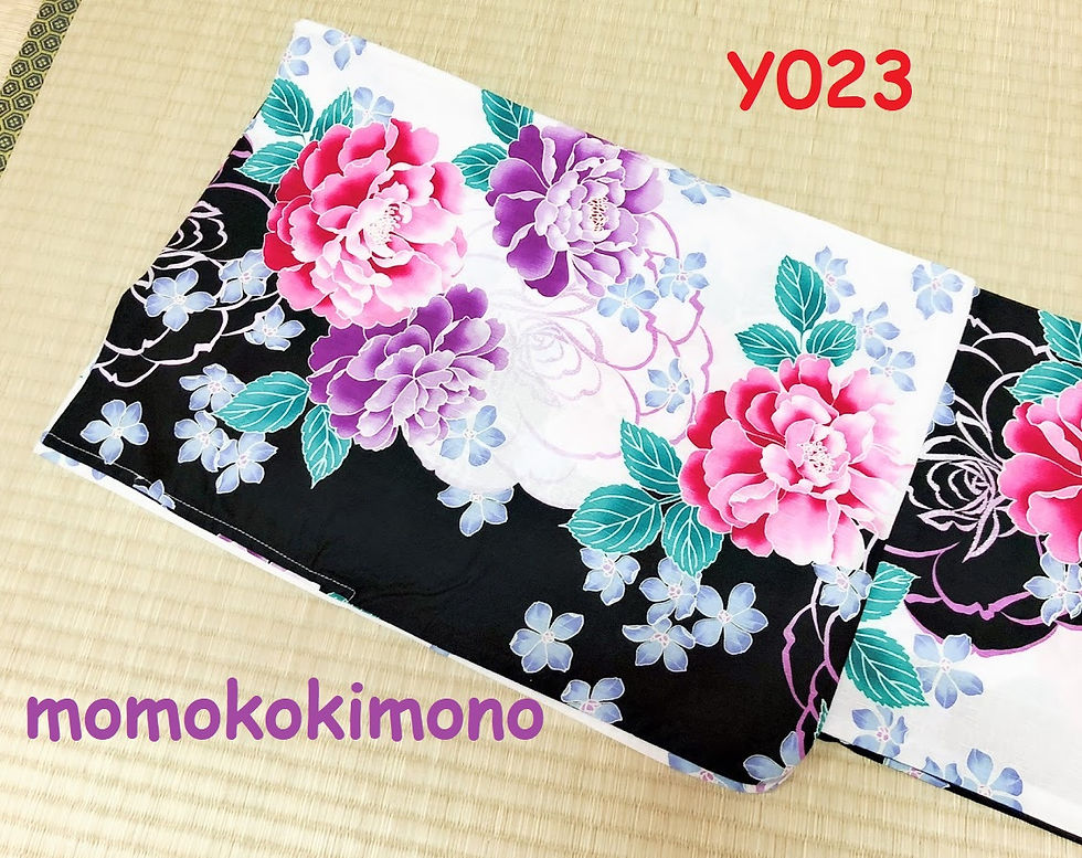 Y023