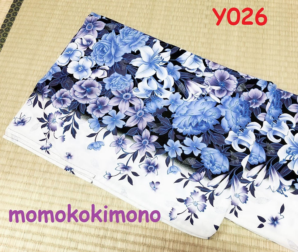 Y026