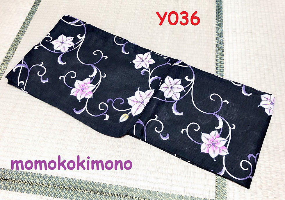 Y036