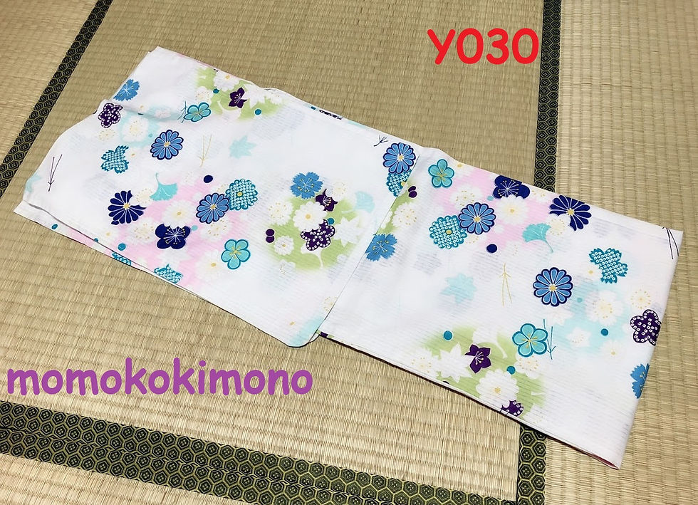 Y030