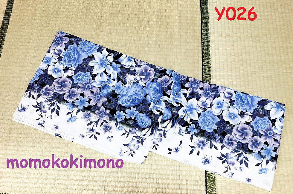 Y026