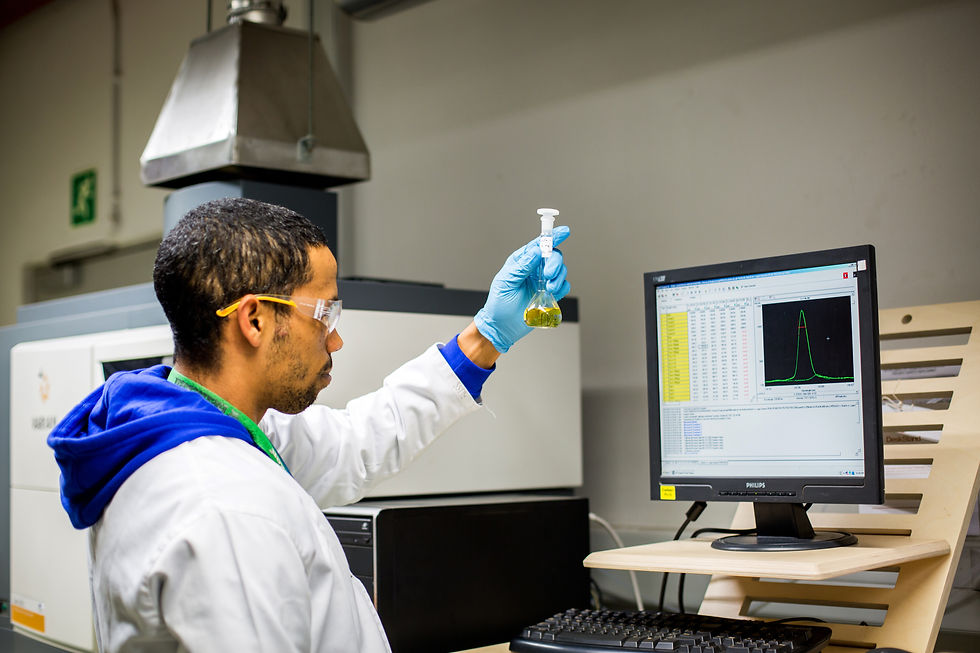 In the Analytical Lab