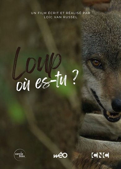 Loup-ou-es-tu-affiche--724x1024.jpg