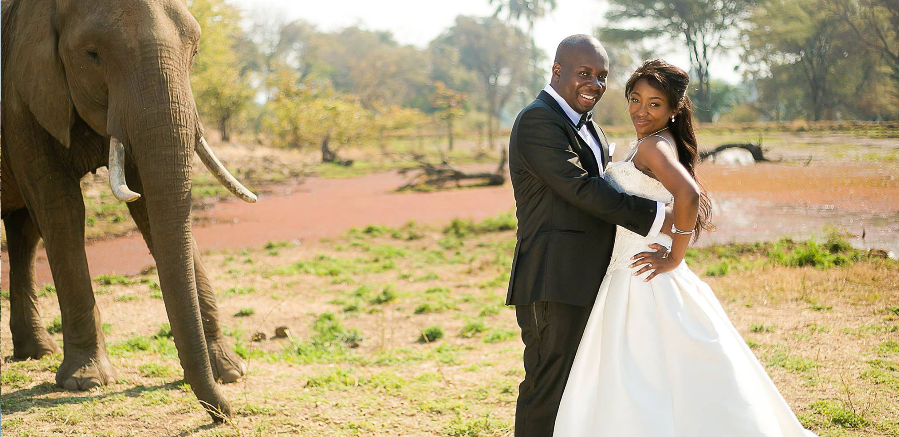 Unique Luxury Stays Uk Elephant Wallow Weddings