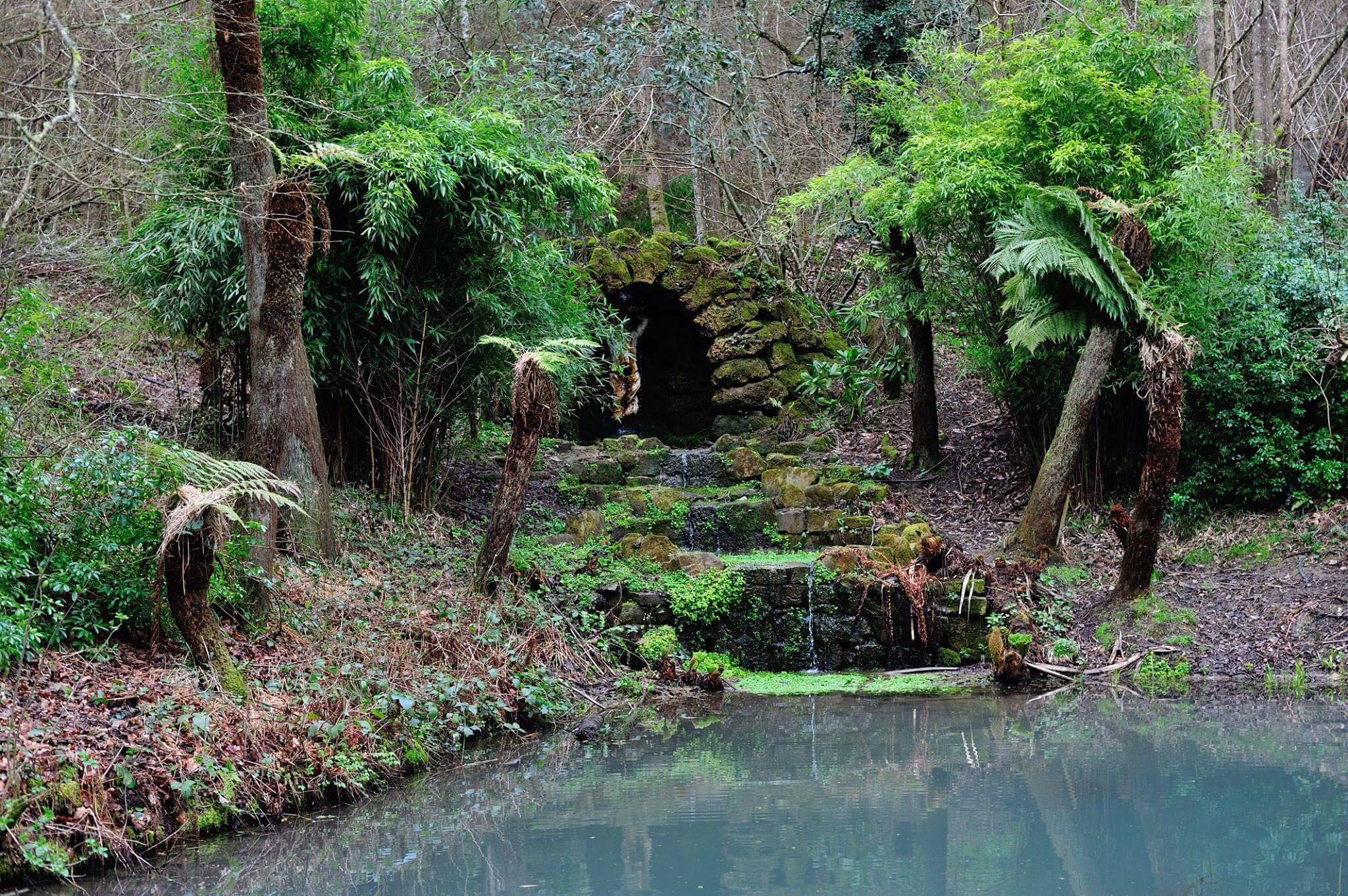 www.quirkykent.co.uk/the-enchanted-forest