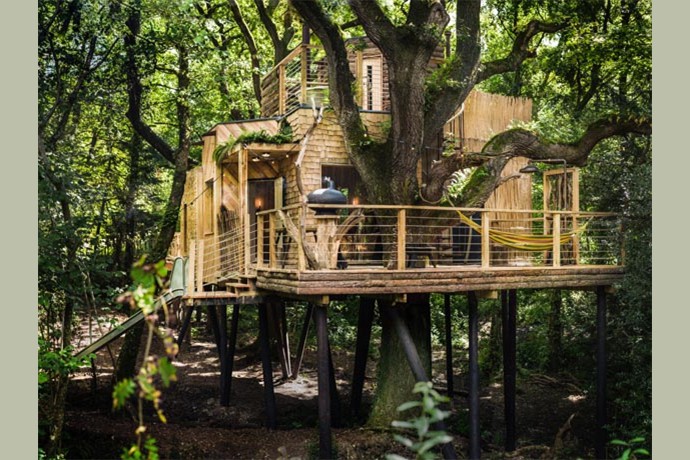 Unique Luxury Stays Uk The Woodsmans Treehouse