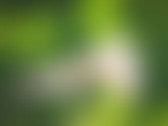 【ご報告】WPC(ワールドフォトグラフィックカップ ) 日本代表に選出