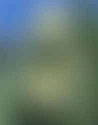 Travis shares his personal story of finding plant medicines (originally posted 2015)