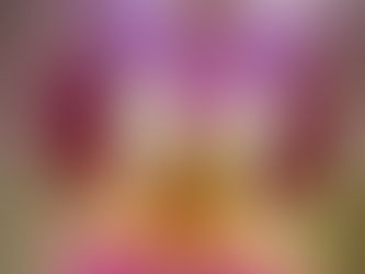 The Tale of the Hummingbird and Condor