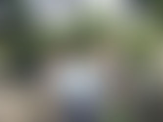 Santuario Ayahuasca Center (originally posted Jan 20, 2015)