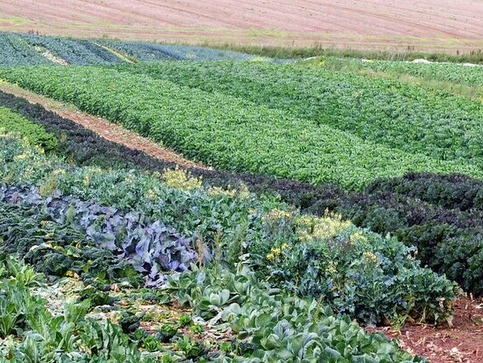 Funding available for environmentally resilient farming solutions