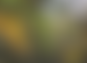 Landscape Recovery: get ready for the second round