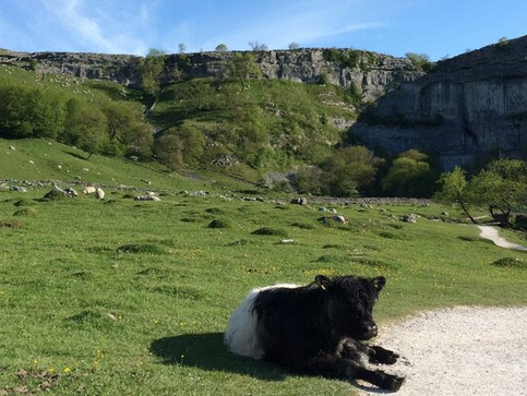 Improvements to farming schemes for upland farmers