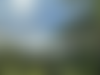 Farming News: Further funding available to improve productivity, sustainability and resilience