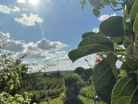 Farming News: Further funding available to improve productivity, sustainability and resilience