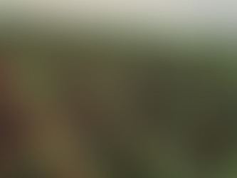 Farming Investment Fund - Grant Application Deadline 7 January 2022